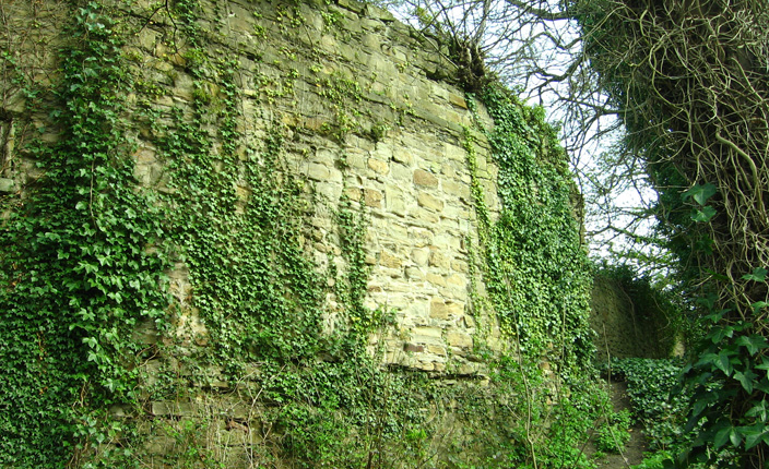 View of the Castle Walls at the top of the river banks. After the river, itself, these would have formed a second line of defence. Evidently, the fortifications were effective: Durham Castle was never taken.  